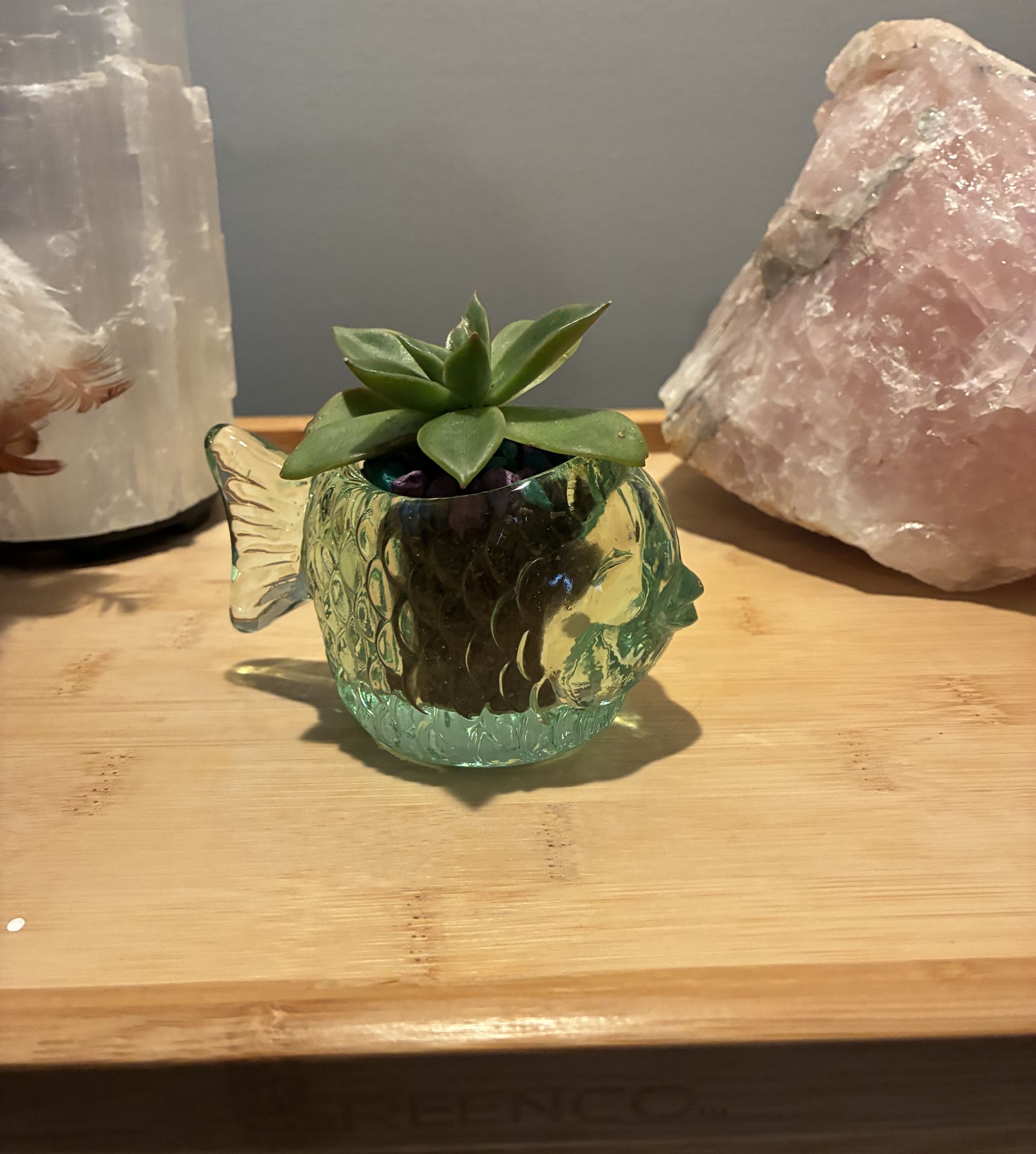 Vintage Green Glass Fish Planter Real Live Succulent Plant
