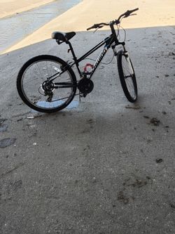 Schwinn mountain bike
