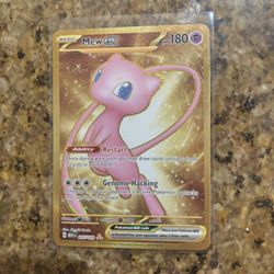 MEW EX