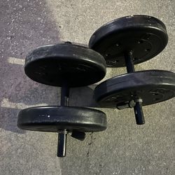 dumbbells / Mancuernas