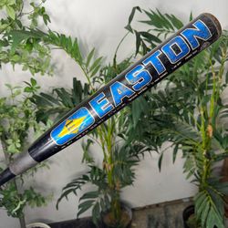 Easton Softball Bat Official Size