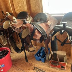 Saddles And Accessories 