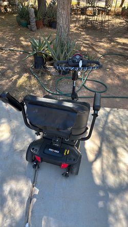 Go-Go Electric Mobility Scooter