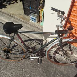 Classic Schwinnw Cruiser