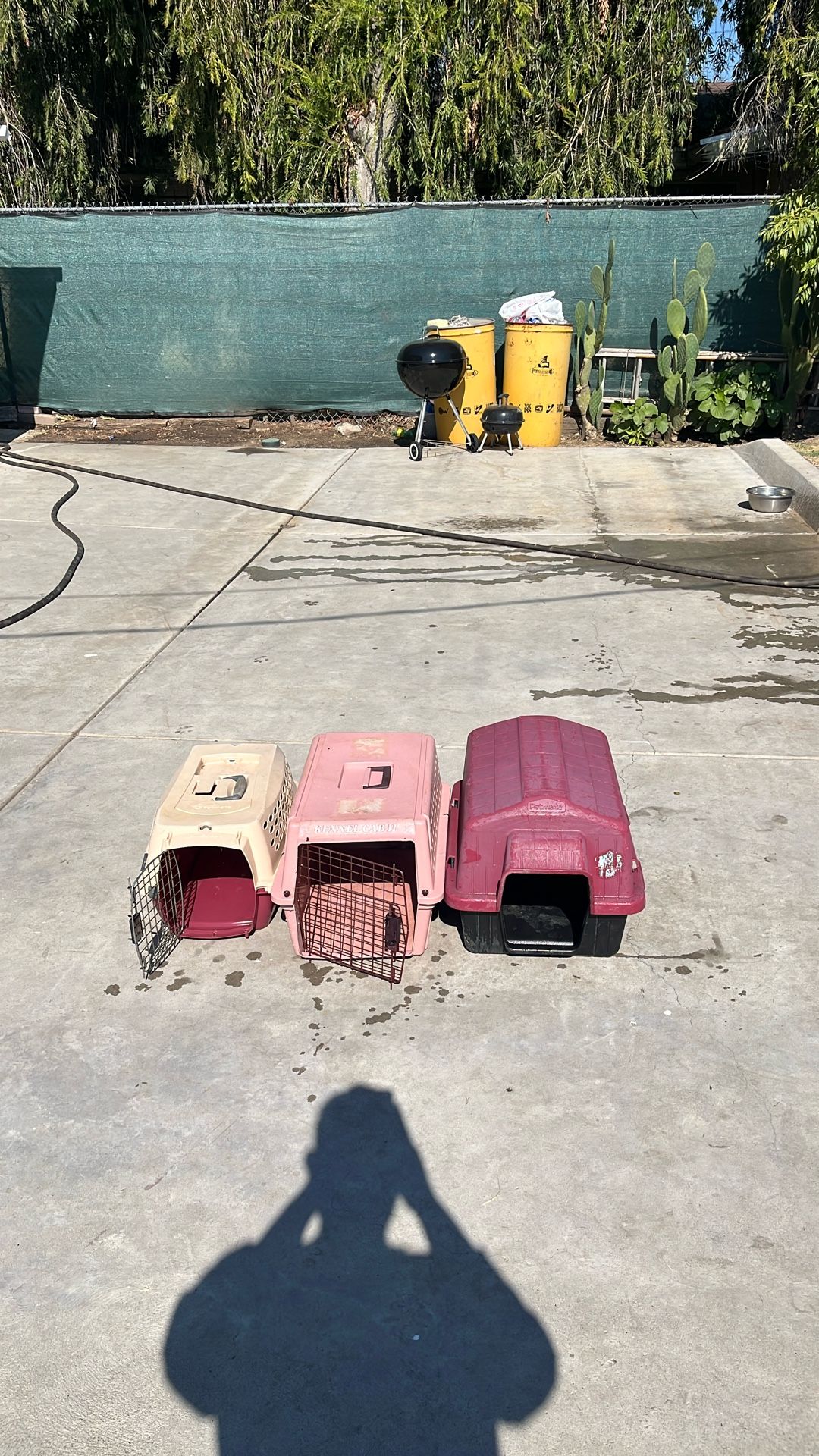 Dog Houses