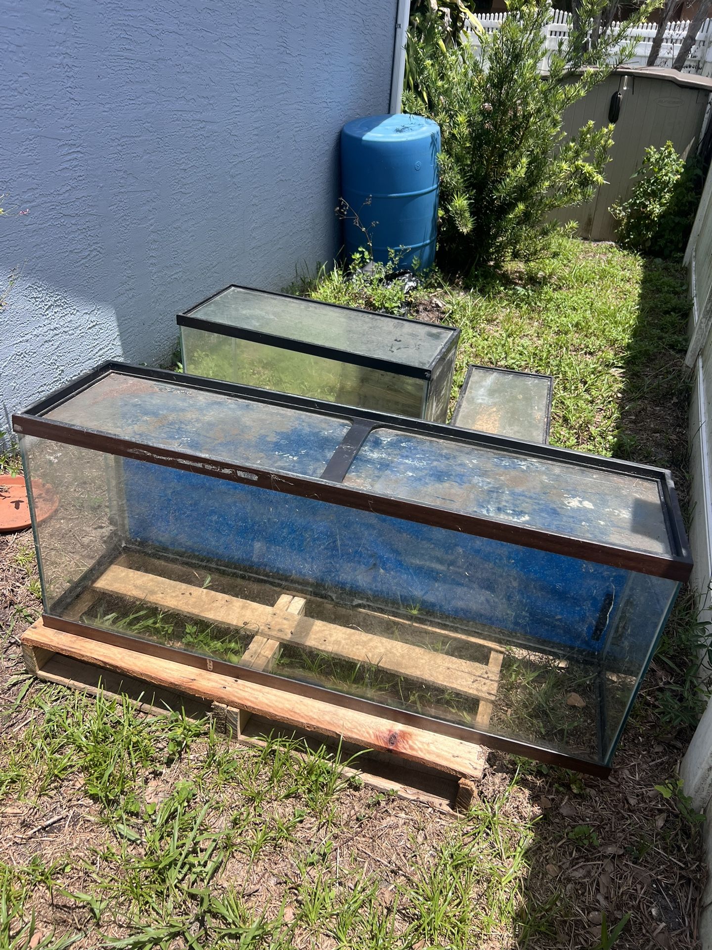 Fish Tanks