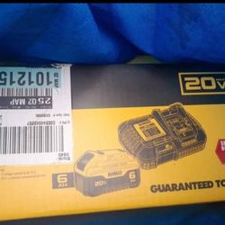 Dewalt 20V Battery&Charger Kit