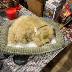 small dog and his bed