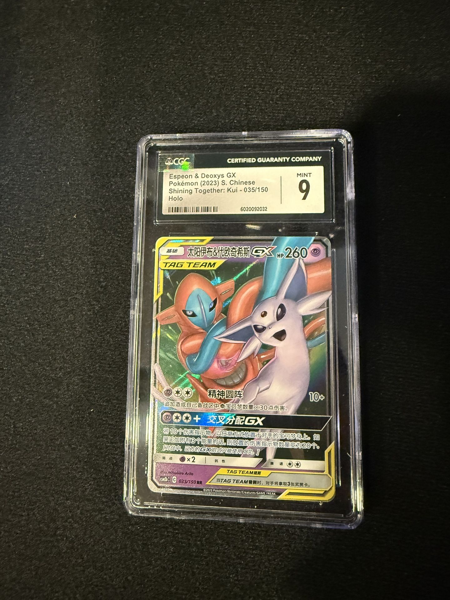 Pokemon Slab Tag Team