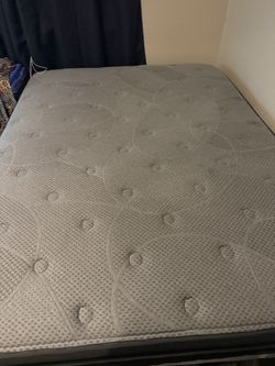 Queen Size Bed