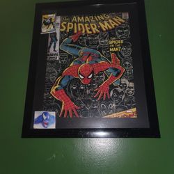 Spiderman Photo