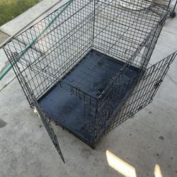 dog cage