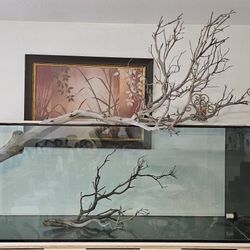 260 Gallon Peninsula Tank With Overflow 