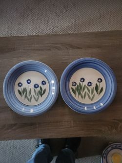 Set of 2 Blue Floral Ceramic Plates