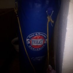 Everlast Heavy Bag