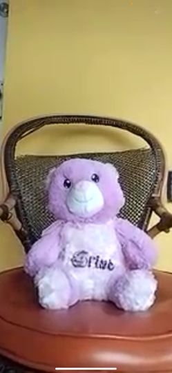 Custom Teddy Bears For Valentine’s Day