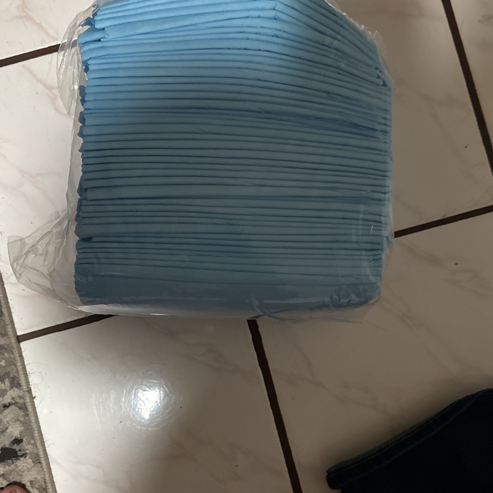 Dog Training Pads. From Costco