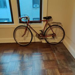 70s Vintage Schwinn Bike