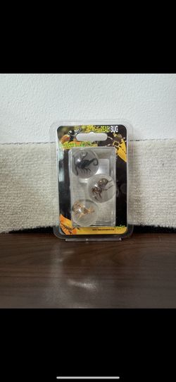Spider And Scorpion Marbles Taxidermy