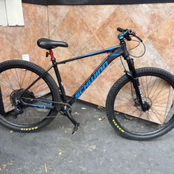 Mountain Bike