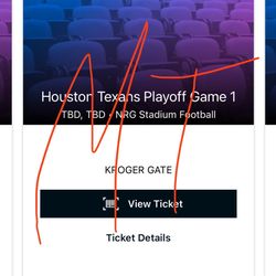 Texans Wildcard Game