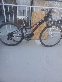 MOUNTAIN BIKE TREK 24"