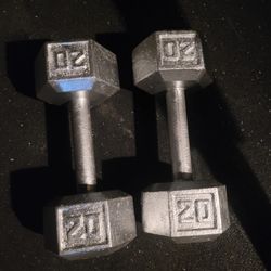 20lbs Dumbells Weights