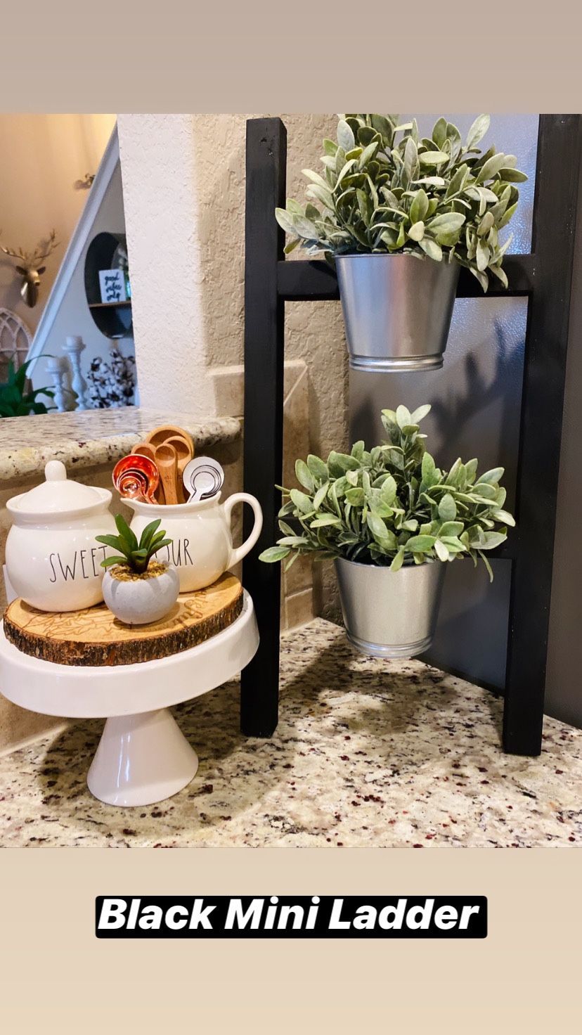 Mini Farmhouse Ladder/Planter with galvanized buckets