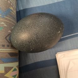 Emu Egg