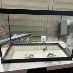30 Gallon Fish Tank