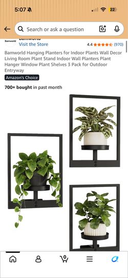 Plant holder