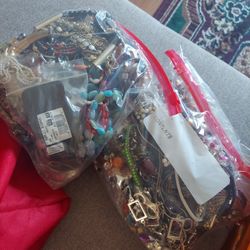  jewelry one gallon bags