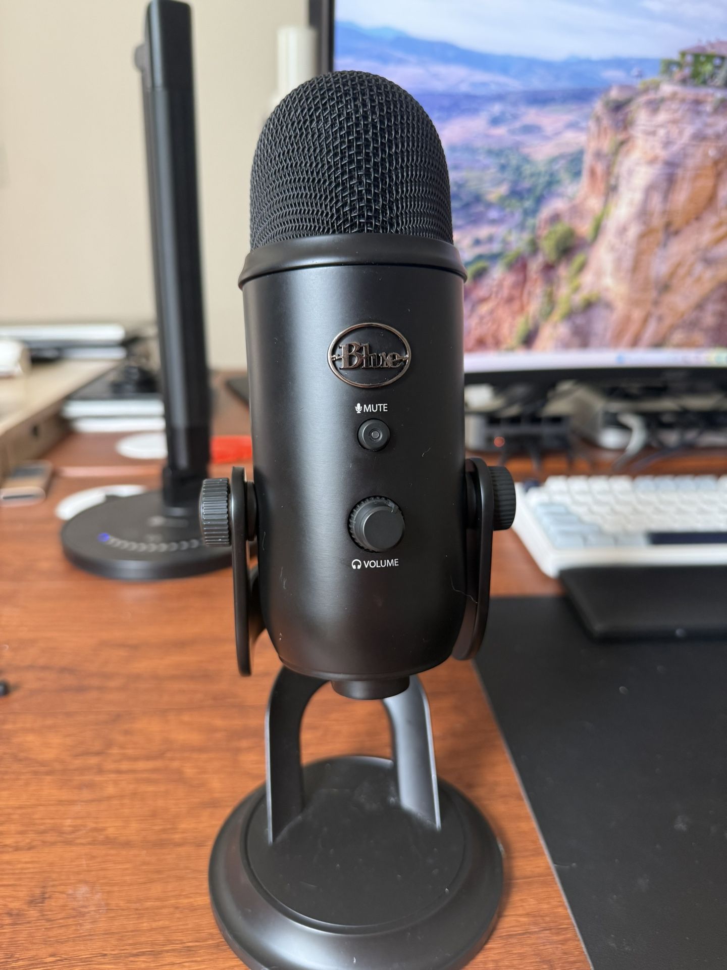 Blue Yeti Podcast mic