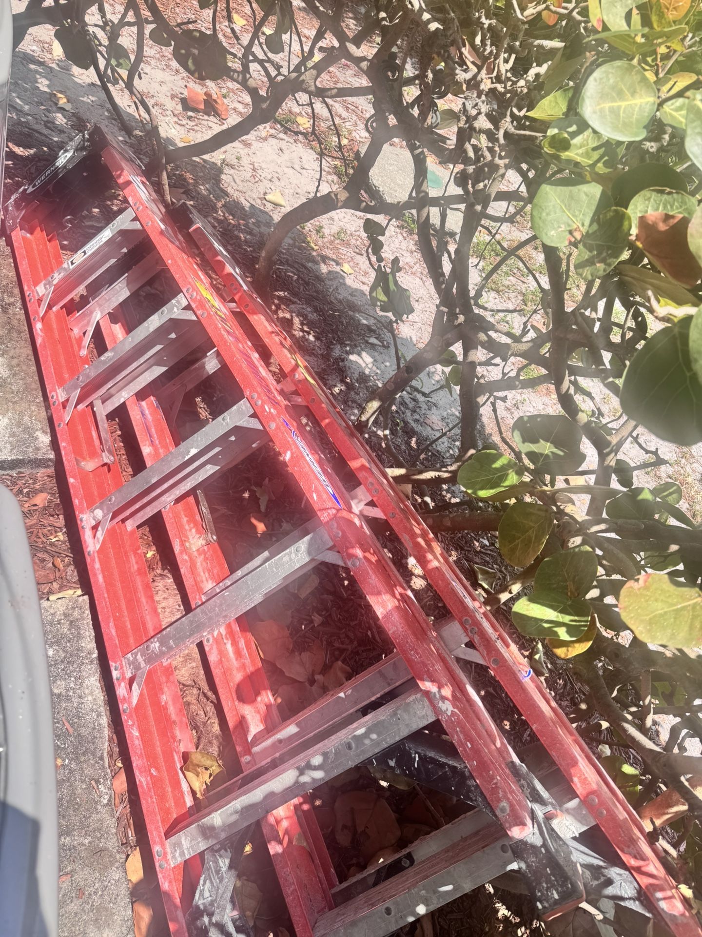 ladder 6 feet
