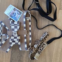 Susan Lanci - Dog Collar Leash and Harness