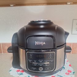 Ninja foodi paressure cooker