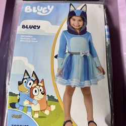 Bluey Costume.