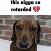 FwRealsies