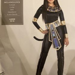 Halloween Costume ( Egyptian Goddess)
