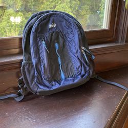 Great REI Day Trip Hiking/Commuter Backpack