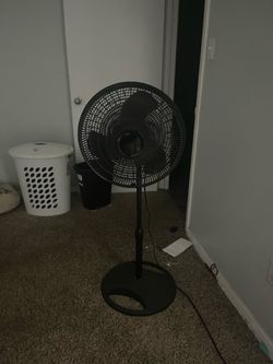 Fan