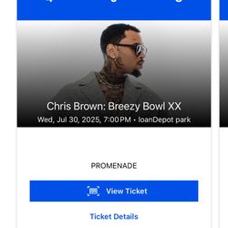 Chris Brown Concert