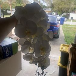 Wedding Decorations 