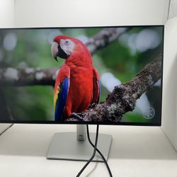 monitor Dell 24”