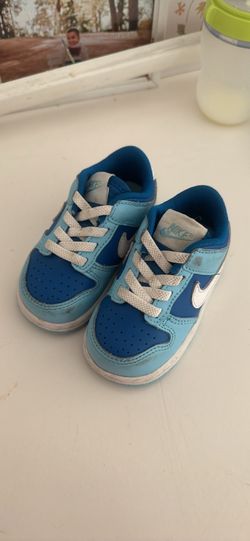 Toddler Dunks 5C