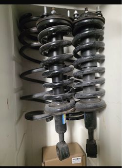 Complete Strut Assembly Pair with Coil Springs