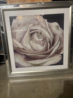 Mirror-framed rose picture