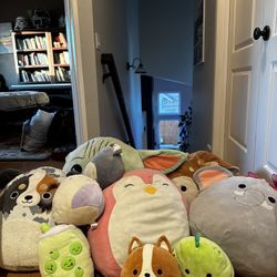 Lot Of Squishmellow Stuffed Animals