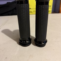 Avon Grips For Harley TBW