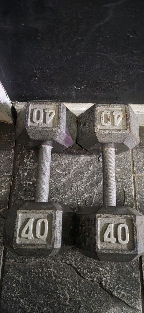 40LB STEEL DUMBBELLS HEX DUMBBELL WEIGHTS